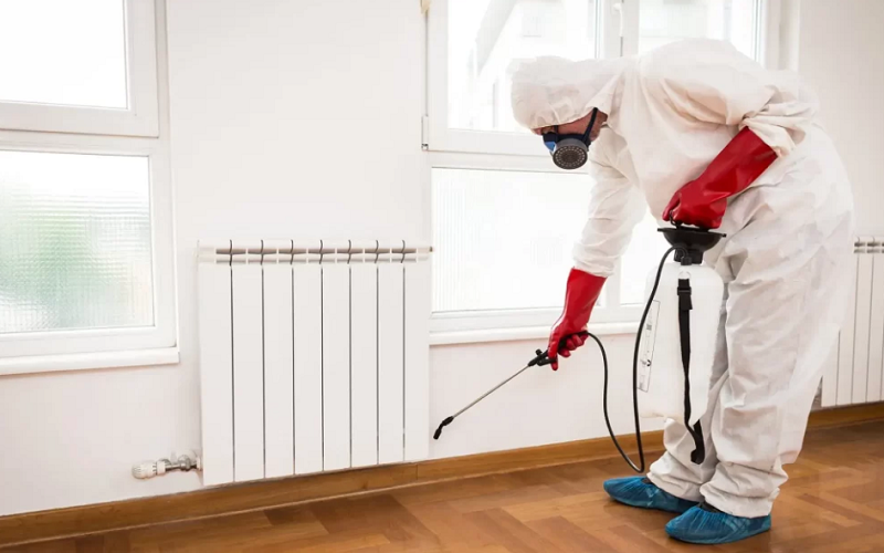 شركة مكافحة حشرات