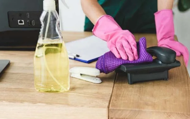 شركة الحنين كلين لمكافحة الحشرات